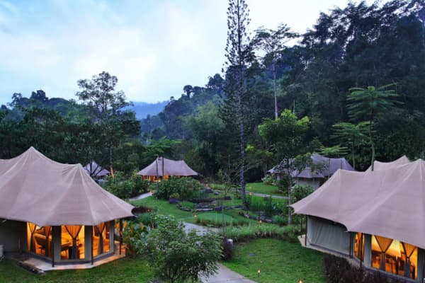 Tiarasa Escapes treehouse villas dusk rainforest mountain mist Janda Baik